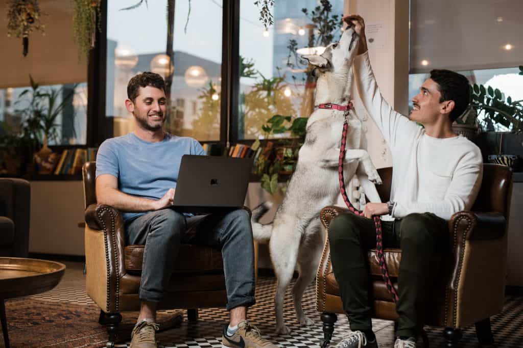 Employees playing with dog